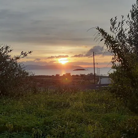 Apartament Meltemi 1 *